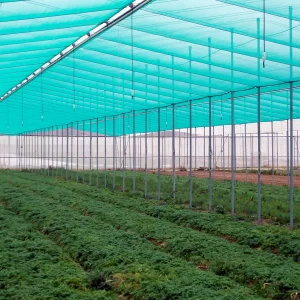 TIP 002 - Brise vent et ombrage modérés